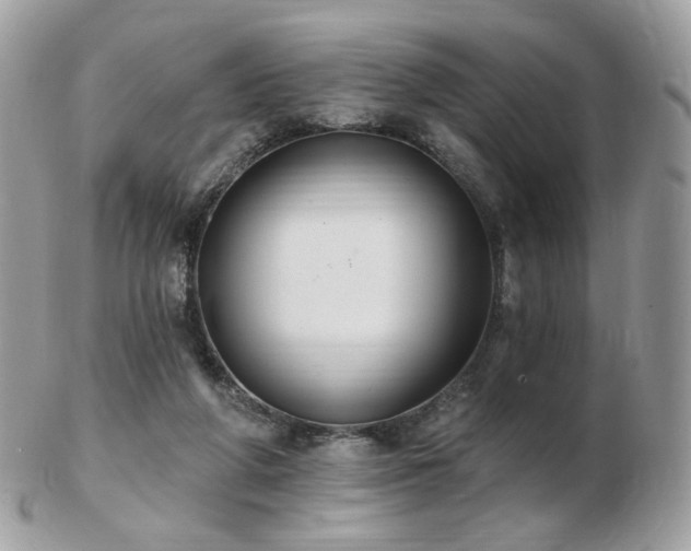 X0000103280210200808291318