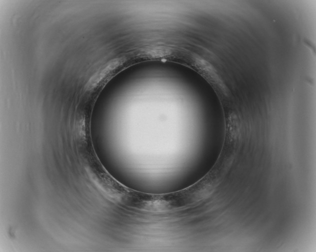 X0000103280212200808291318