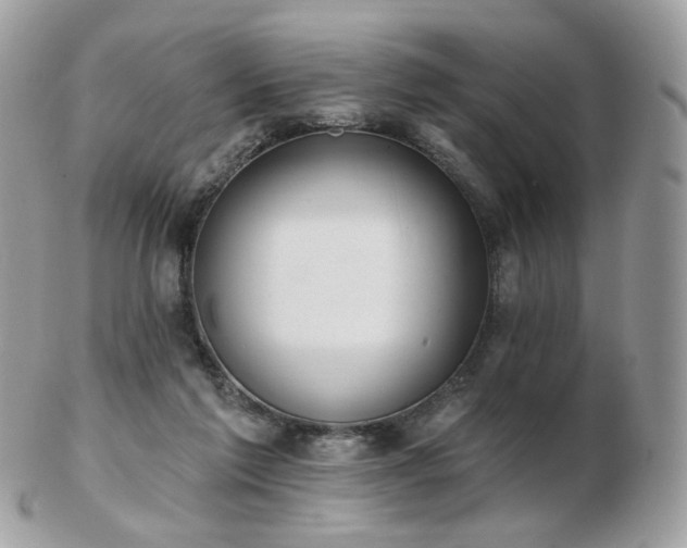 X0000103280213200808291318