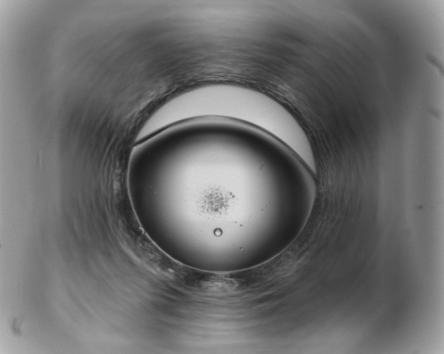 X0000103280215200808291318