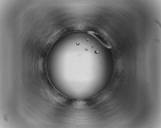 X0000103280217200808291318