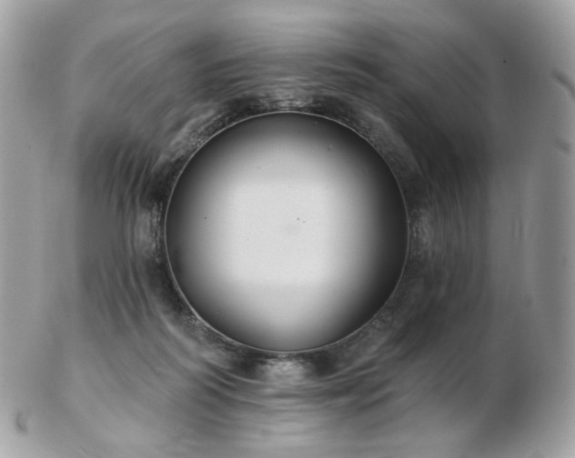 X0000103280218200808291318