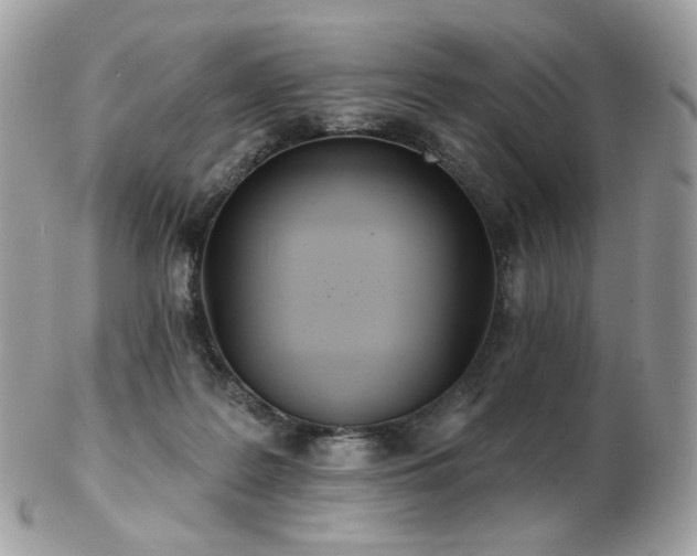 X0000103280219200808291318