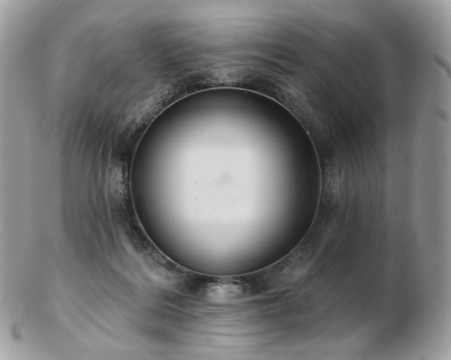 X0000103280220200808291318