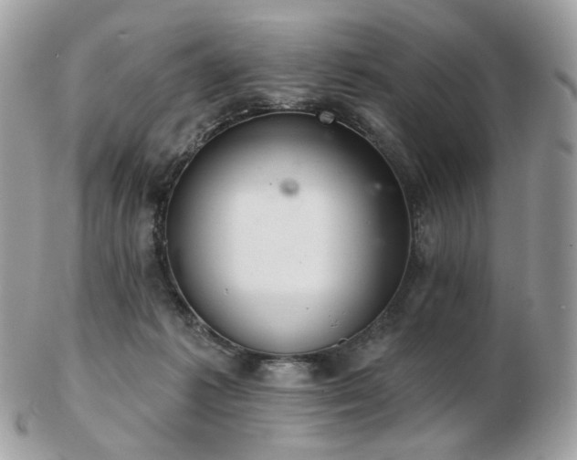 X0000103280221200808291318