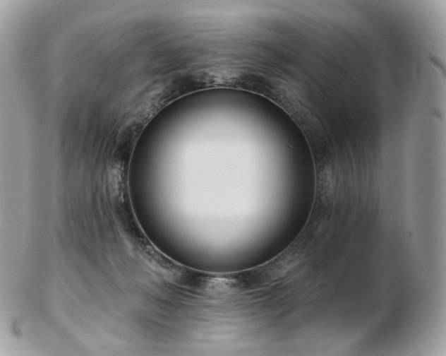 X0000103280222200808291318