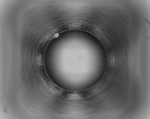 X0000103280224200808291318