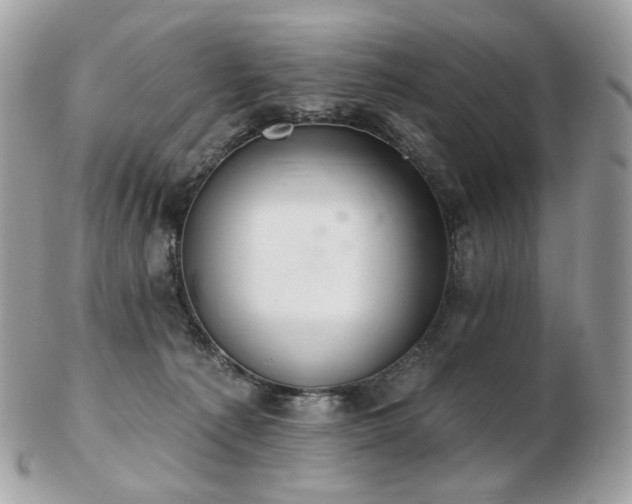 X0000103280225200808291318