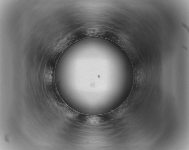 X0000103280226200808291318