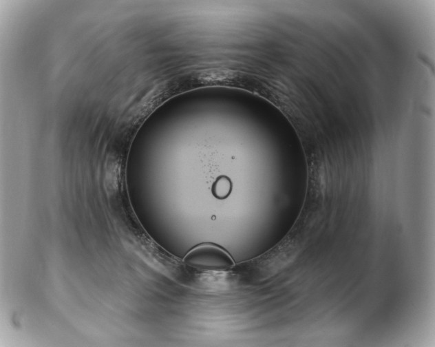 X0000103280227200808291318