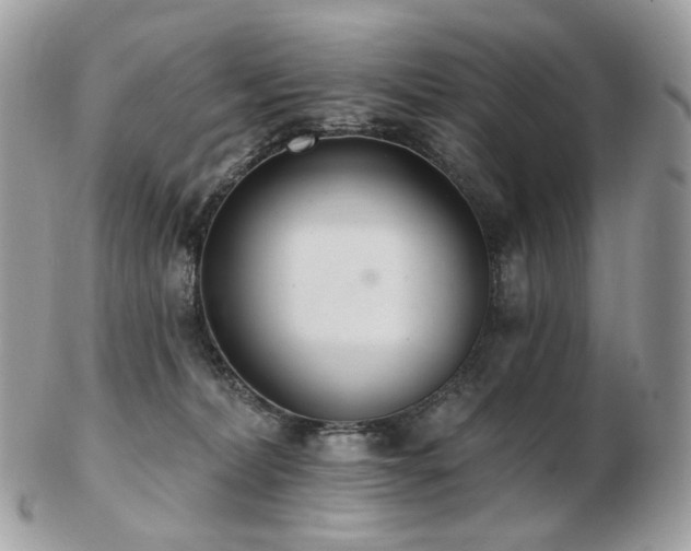 X0000103280228200808291318