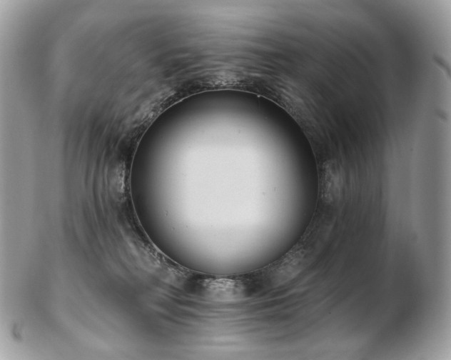 X0000103280230200808291318