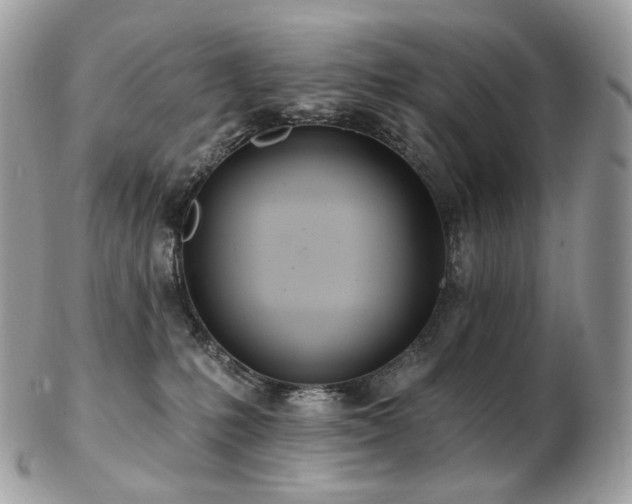 X0000103280231200808291318