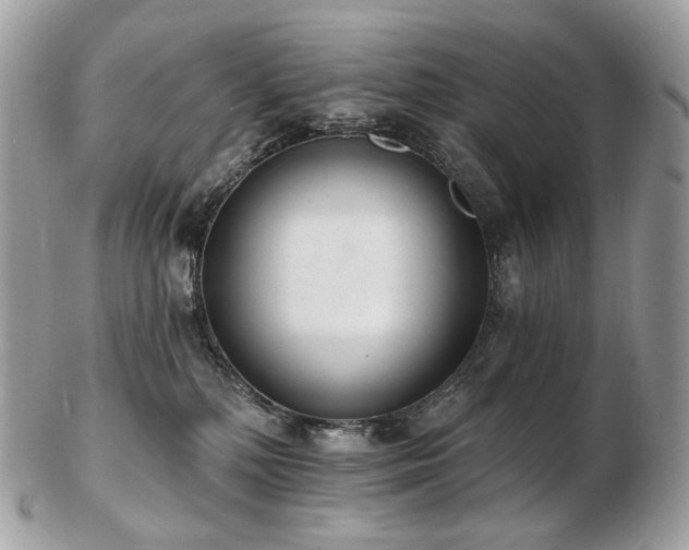 X0000103280232200808291318