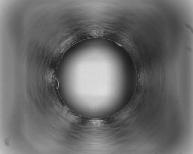 X0000103280233200808291318