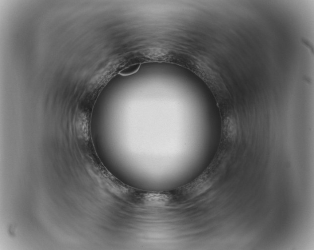 X0000103280234200808291318