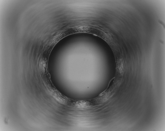 X0000103280235200808291318