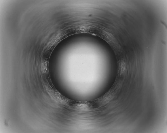 X0000103280236200808291318