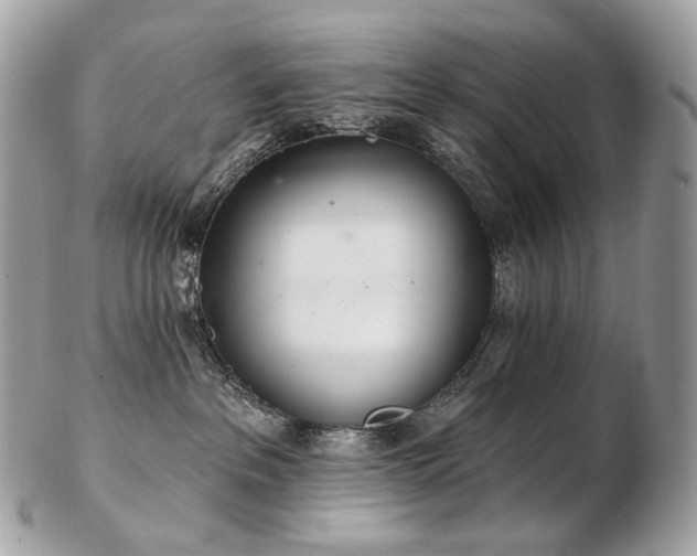 X0000103280237200808291318