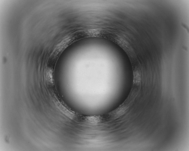 X0000103280238200808291318