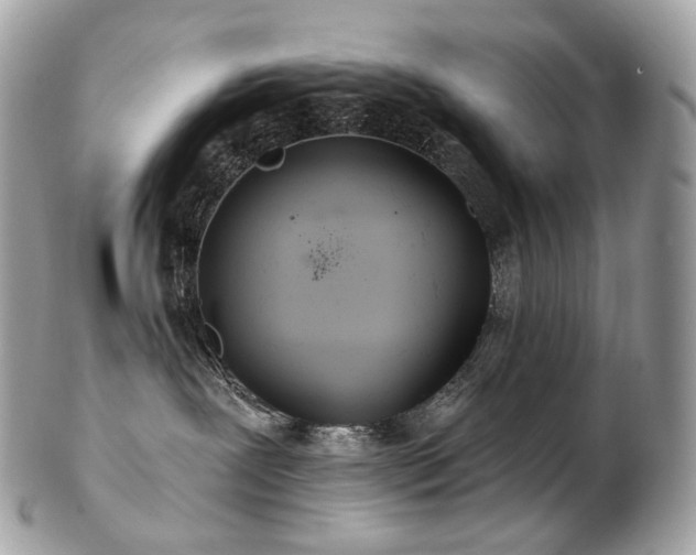 X0000103280239200808291318