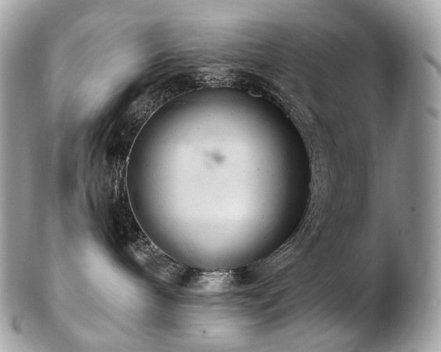 X0000103280240200808291318