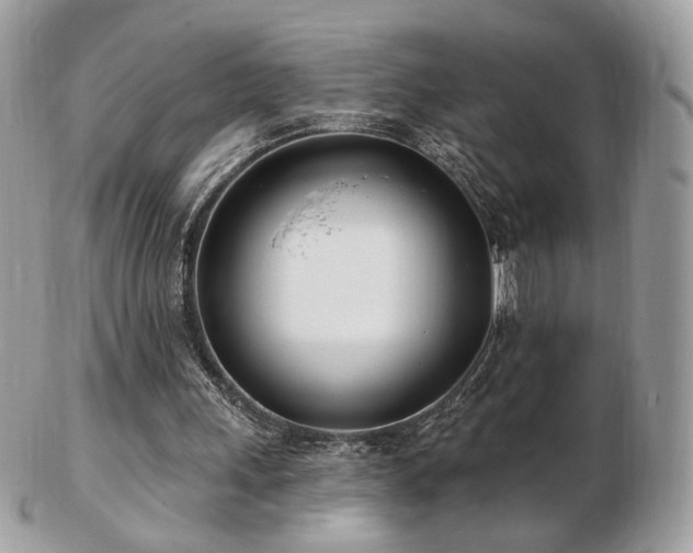 X0000103280243200808291317