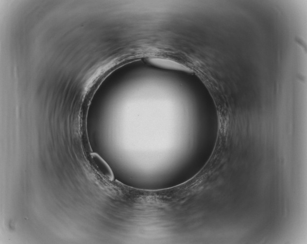 X0000103280244200808291317