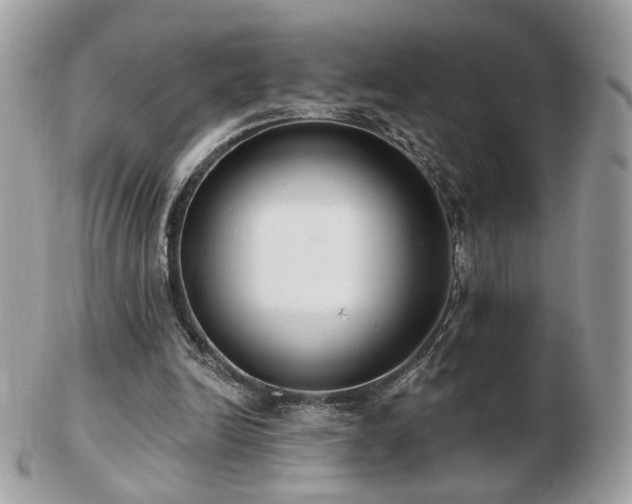 X0000103280246200808291317