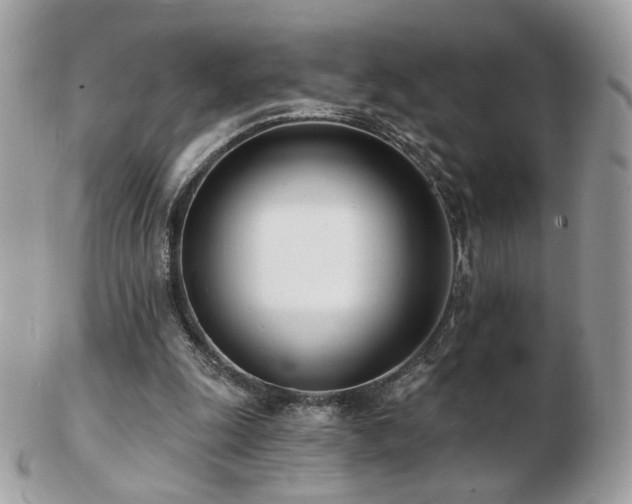 X0000103280247200808291317