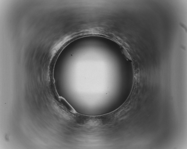 X0000103280248200808291317