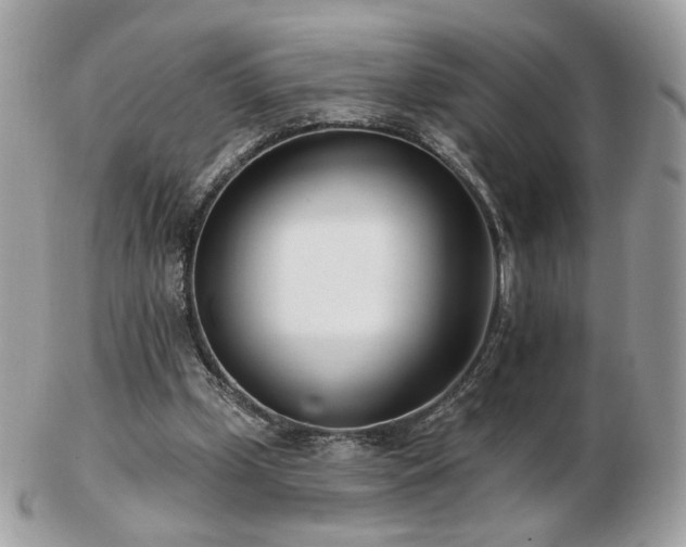 X0000103280249200808291317