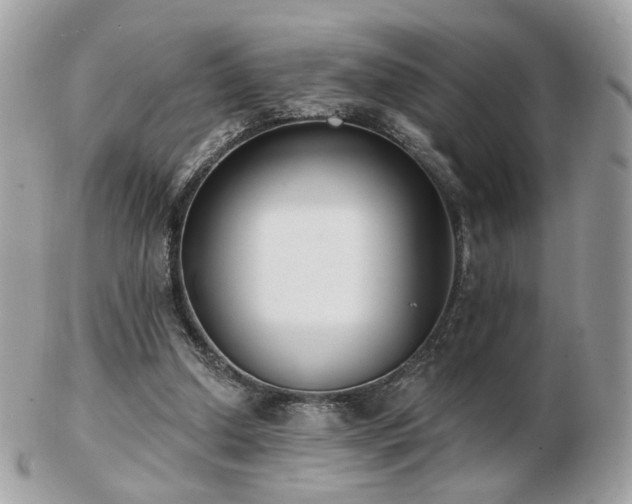 X0000103280250200808291317