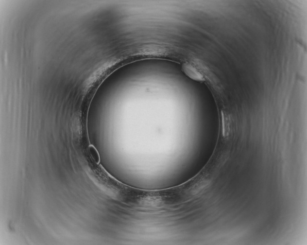 X0000103280252200808291317