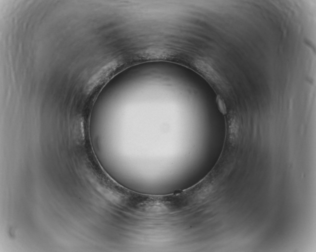 X0000103280254200808291317