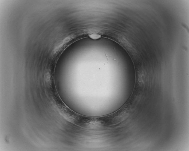 X0000103280256200808291318