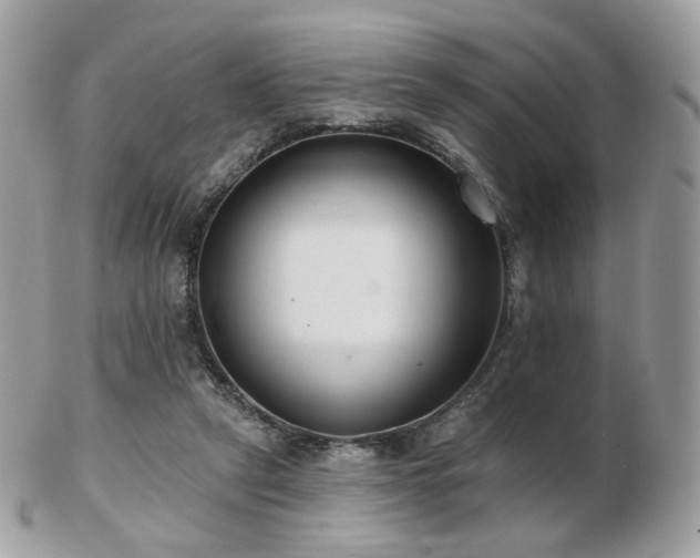 X0000103280257200808291318