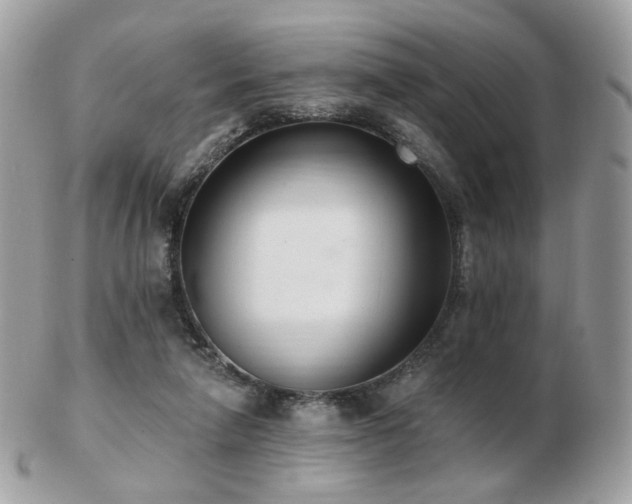 X0000103280258200808291318