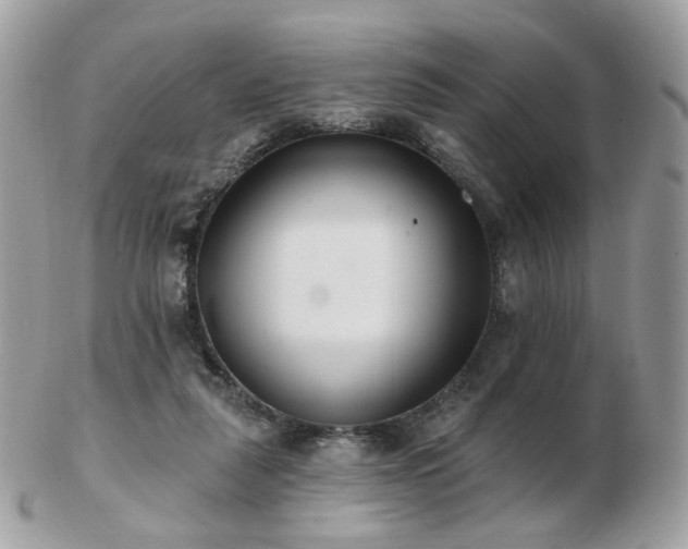 X0000103280259200808291318