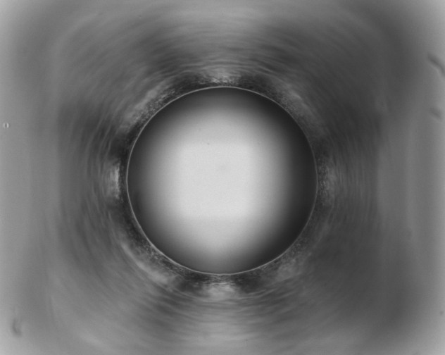 X0000103280262200808291318