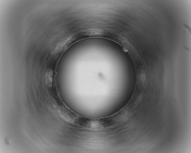 X0000103280264200808291318