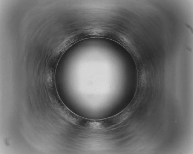 X0000103280265200808291318