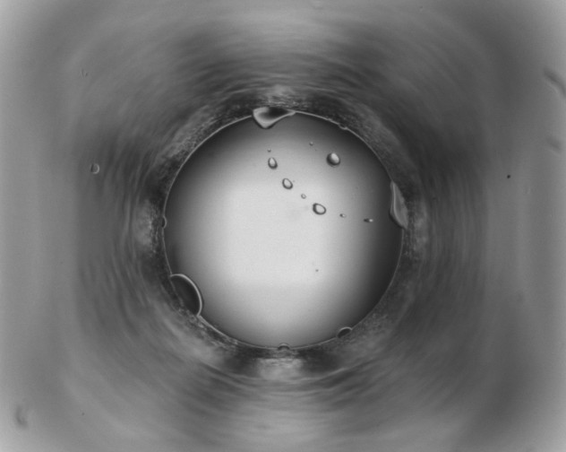 X0000103280266200808291318