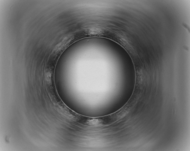 X0000103280269200808291318