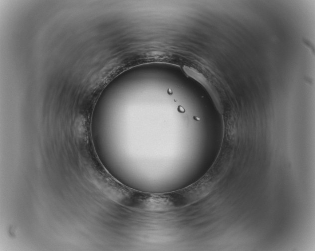 X0000103280270200808291318