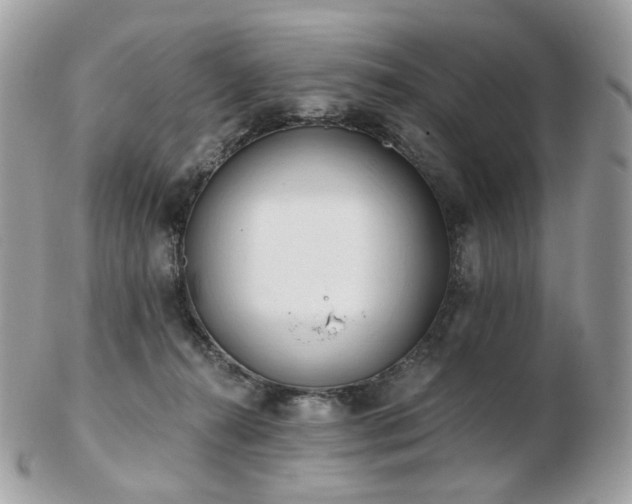 X0000103280272200808291318