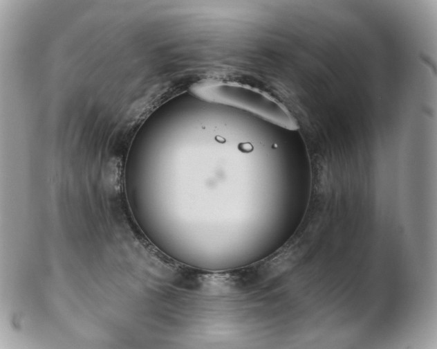 X0000103280273200808291318