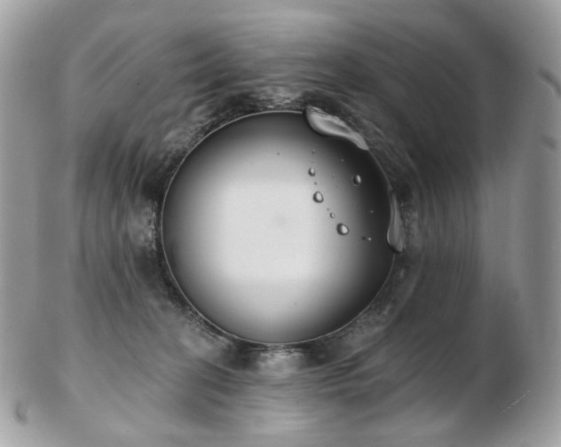 X0000103280274200808291318