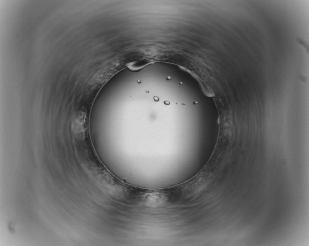 X0000103280275200808291318