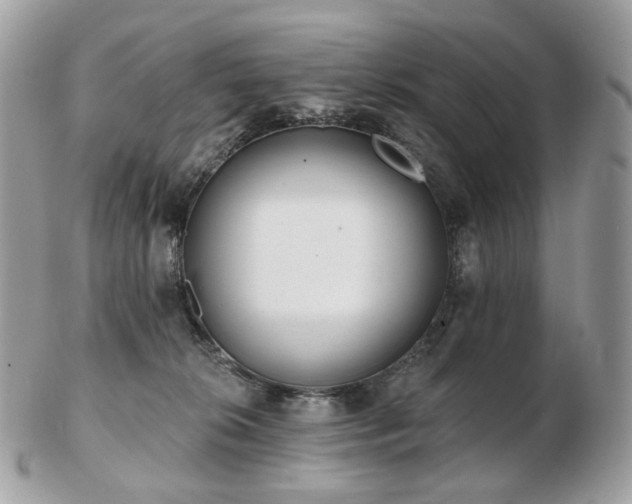 X0000103280276200808291318